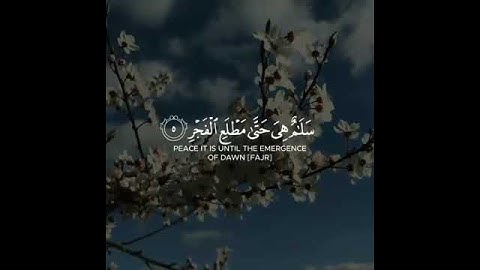 سورة القدر بصوت جميل || راحة نفسية 🌼🌱