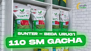 ☘️ Beda urug'i-SUNTER, Turkiya +998995414444  #agro #farm #trending #beda #alfalfa