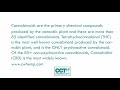 WHAT IS CBD?