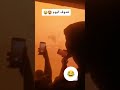 تندوف اليوم