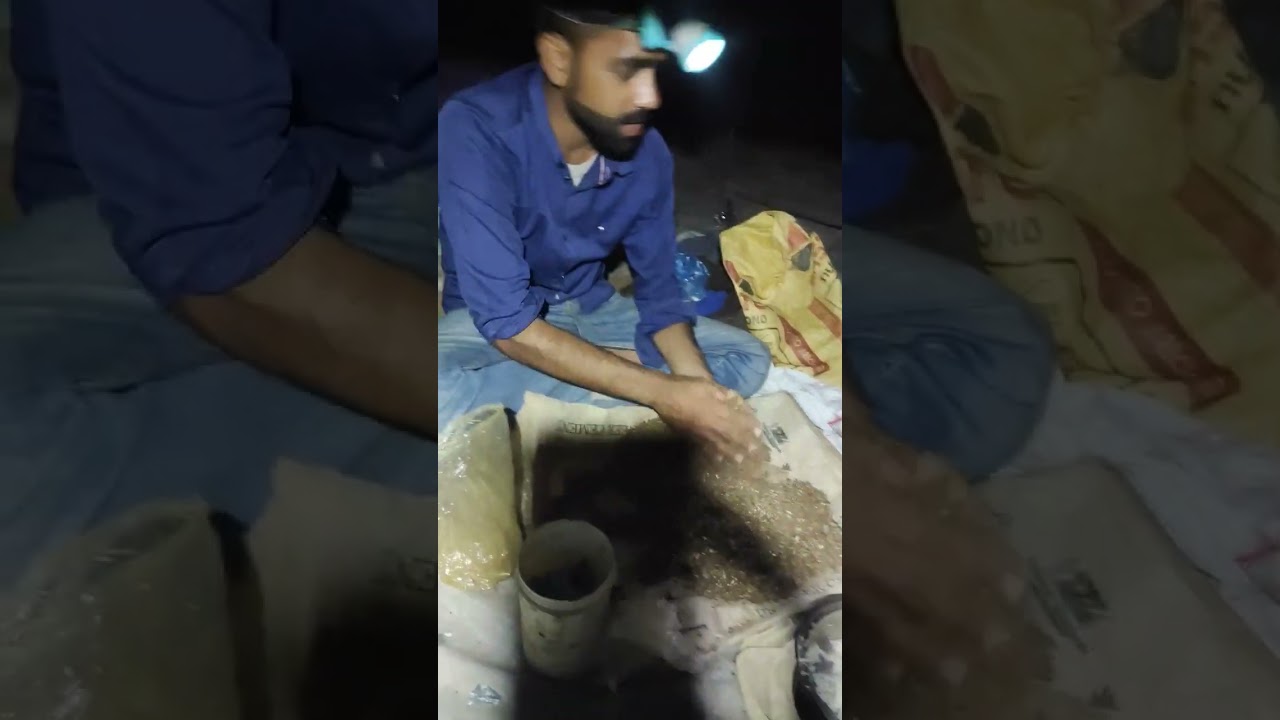 Fishing bait preparation for night fishing|