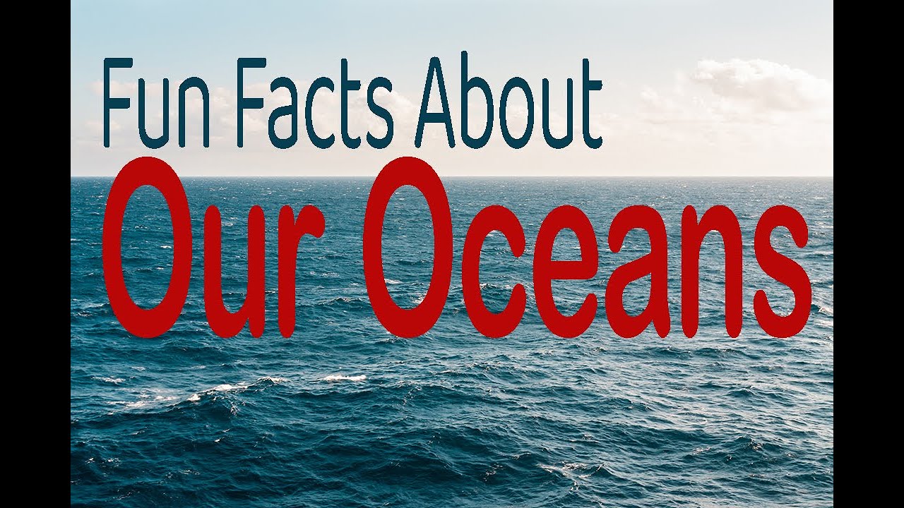 Ocean Sound | With fun facts about the world's oceans | Cool Beats
