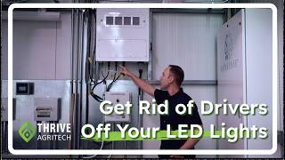 Why This Greenhouse Moved Its Lighting Power Off the Ceiling