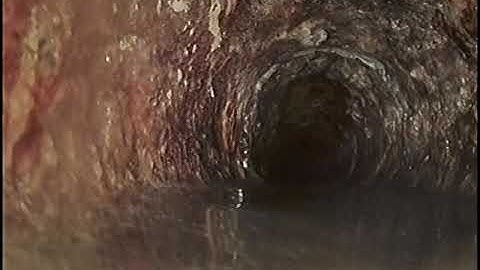 1260 S ECLD STR VIDEO 1 12 12 25