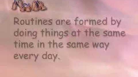 Rules,rituals and routines