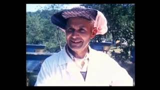 видео: Чтобы пчел стало больше  Фильм ссср  Пчеловодство для начинающих картинка: Чтобы пчел стало больше  Фильм ссср  Пчеловодство для начинающих