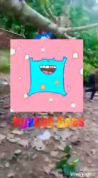Video STORY WA LUCU TERBARU 2019 dari STATUS WHATSAPP (MAIN AYUNAN DI POHON CELANA TERSANGKUT)