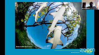 Webinar: International Day for Disaster Risk Reduction