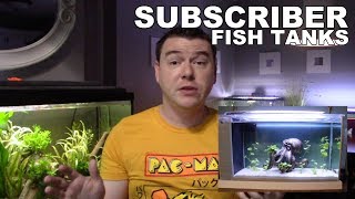 Subscriber Fish Tank Review Volume 2
