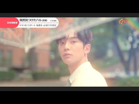 KNTV】偶然見つけたハル（原題） - YouTube