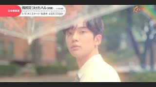 偶然見つけたハル 偶然見つけたハル（原題）｜番組詳細｜韓流No.1 チャンネル-KNTV