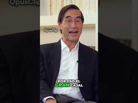 Estimula Tu Cerebro