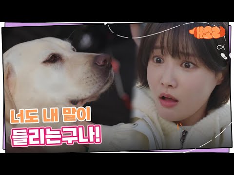 ＂너도 내 말이 들리는구나!＂ 소피의 목소리가 들리기 시작한 연우 [개소리/Dog Knows Everything] | KBS 241031 방송