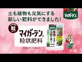 土も植物も元気にする!マイガーデン粒状肥料