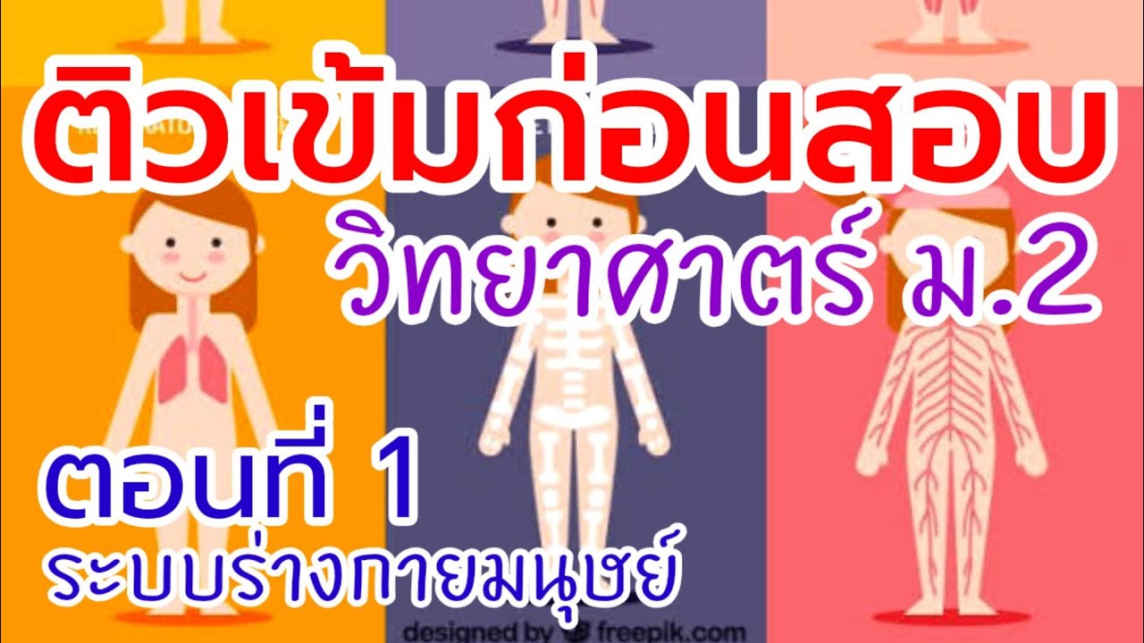 วิทย์ ม.2 2021 | ติวเข้มก่อนสอบ | ระบบร่างกายมนุษย์  (ระบบหายใจ,ระบบขับถ่าย,ระบบหมุนเวียนเลือด) | สรุปข้อมูลที่สมบูรณ์ที่สุดเกี่ยวกับระบบ ย่อย อาหาร ของ มนุษย์ ม 2