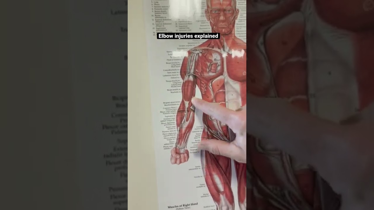 Pittsburgh Sports Chiropractor Dr Bucci explains why Elbow injuries are common springtime injuries