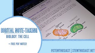 Digital Note-Taking on iPad | GoodNotes | Biology: The Cell (+ downloadable PDF notes) screenshot 3