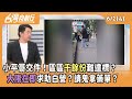地方選舉的罷免行動
