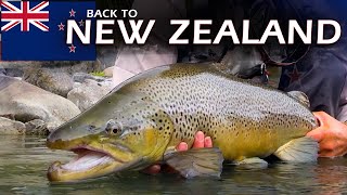 New Zealand Fly Fishing: Brown Trout On Crystal Clear Rivers screenshot 3