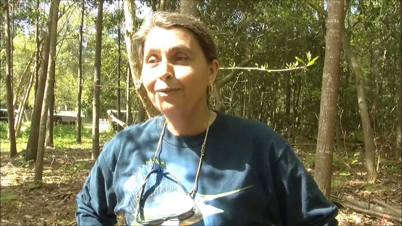 Alyssa Rosenberg's Reporting Reel YouTube