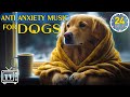 24 hours deep anti anxiety music for dog relaxation tones to calm anxiety  stress with dog music