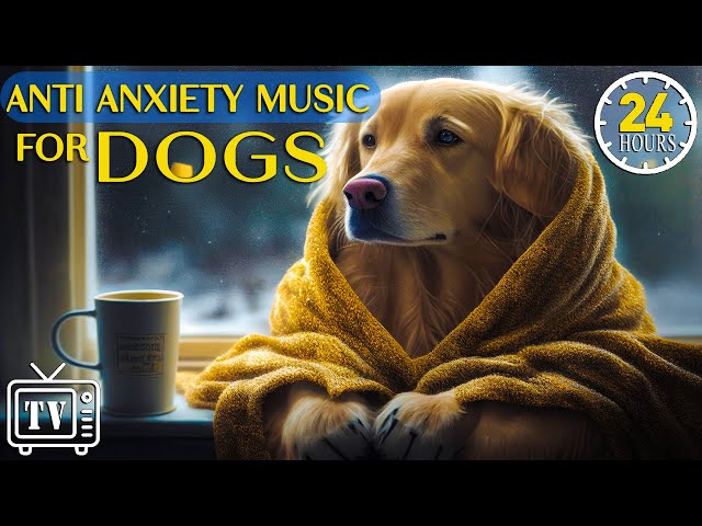 24 Hours Deep Anti Anxiety Music for Dog Relaxation: Tones to Calm Anxiety & Stress with Dog Music class=