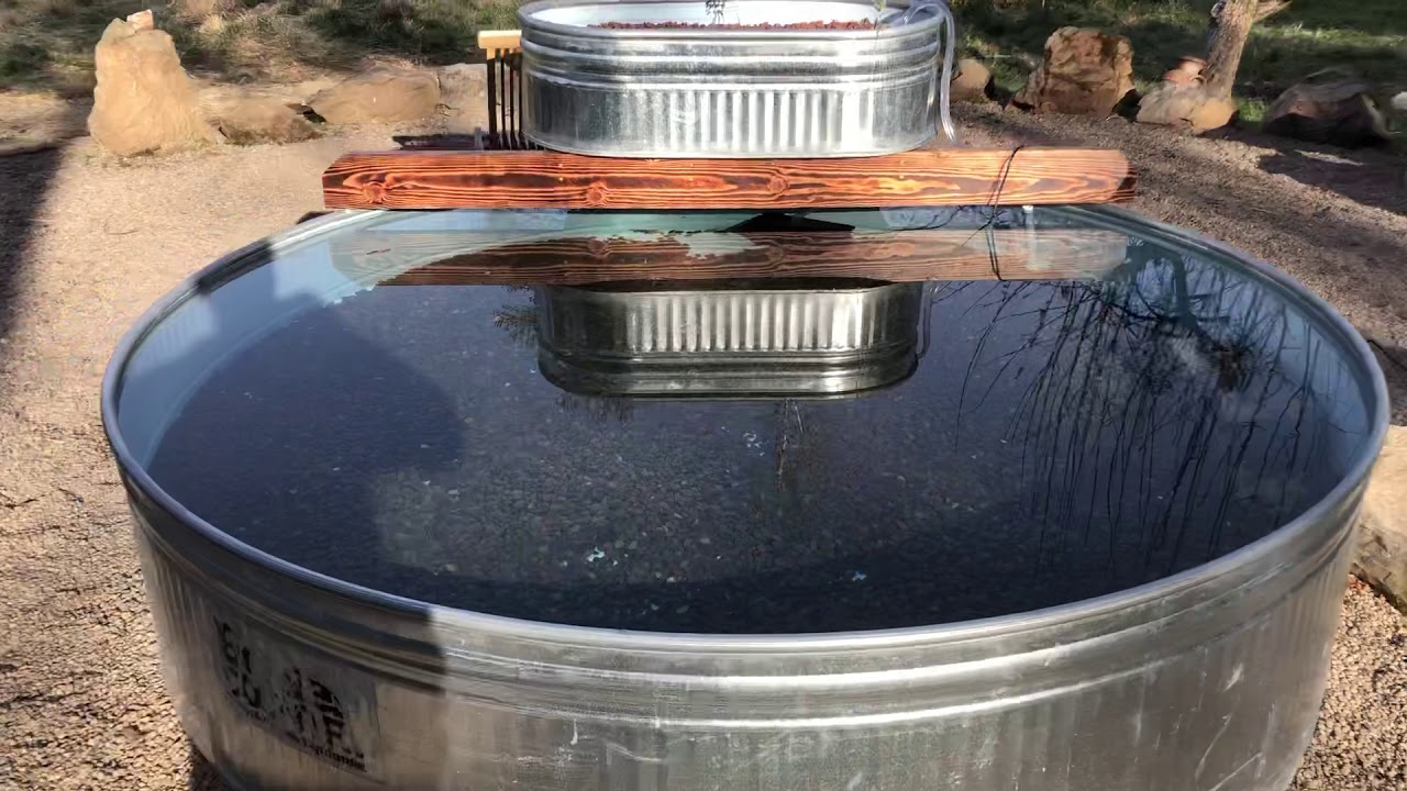 aquaponic stock-tank kiddie pool - youtube