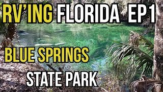 Lets explore blue springs florida state park