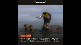 Ep. 139 – The Coming Duck Season Through 3 Lenses, Why To Be Curious, Why To Be Concerned, and Wh...