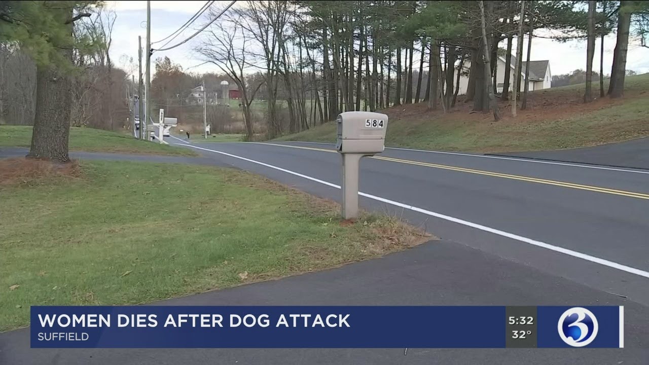 Video: Elderly woman dies after being attacked by dog in Suffield - YouTube