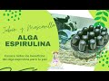 Como hacer tu propio jabón de Alga Espirulina 🧼 + mascarilla facial 💆‍♀️