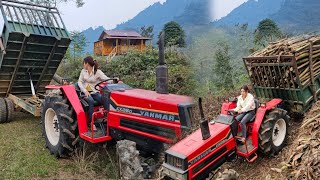 continue the new day's work pulling mahogany wood, transporting wood with agricultural machinery