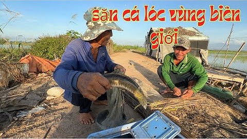 anh đậu trở lại trúng luồng cá lóc quá ngon/ cắm câu vùng biên giới campuchia/GIÓ LÀNG QUÊ