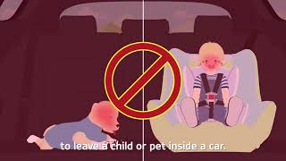 Things you should keep in mind in summer -  Driving Guide -  Kia