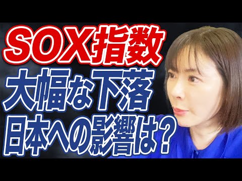 【米不況】半導体株急落の背景と今後の見通しについて解説し ...