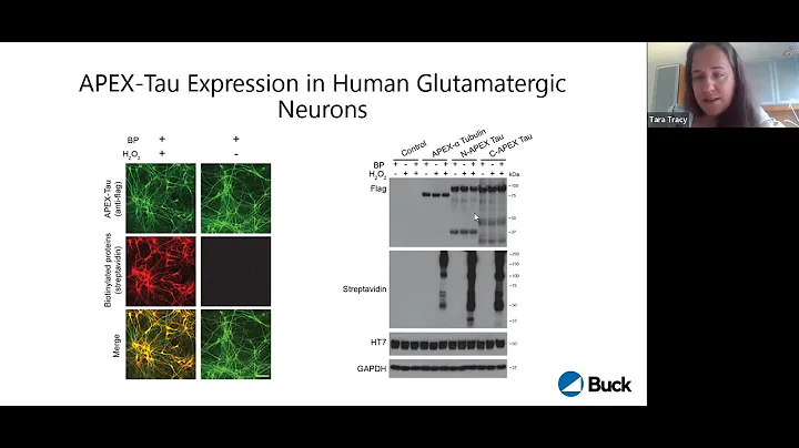 [Tara Tracy] Tau interactome maps synaptic and mit...