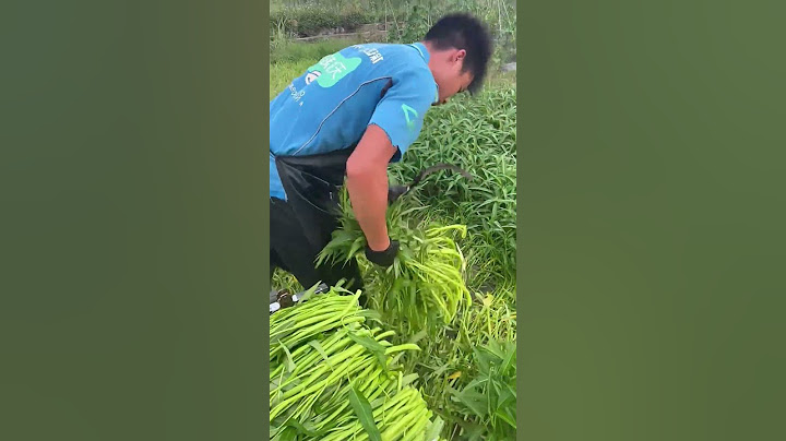 WHY IS THIS FARMER CRUSHING HIS CROP? IT'S NOT CRAZY, IT'S TECHNICAL
