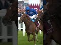 Horse tries to bite rival!