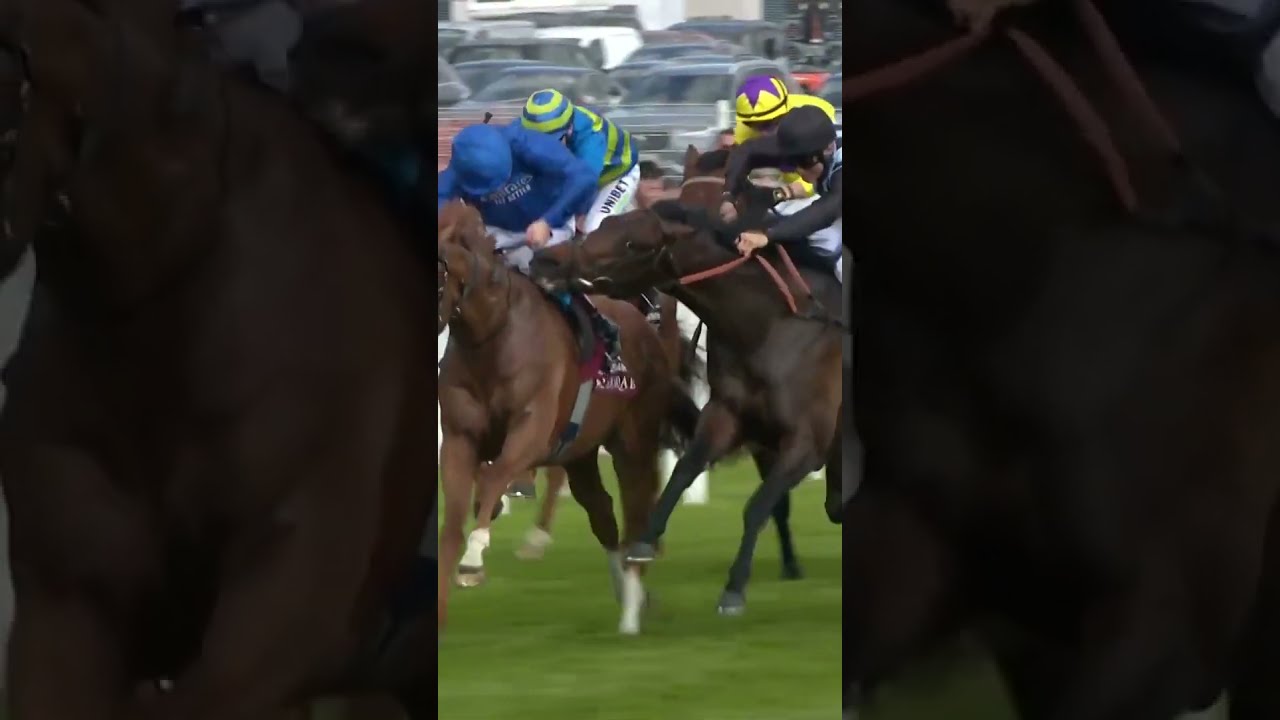 Horse Tries To Bite Rival 
