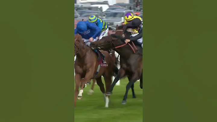 Horse tries to bite rival! - DayDayNews