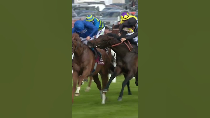 Horse tries to bite rival!