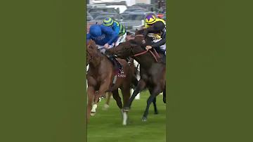 Horse Tries To Bite Rival 