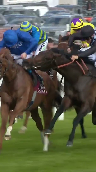 Horse tries to bite rival!