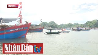 Dừng hoạt động giao thông vận tải, vui chơi giải trí trên sông, biển screenshot 1