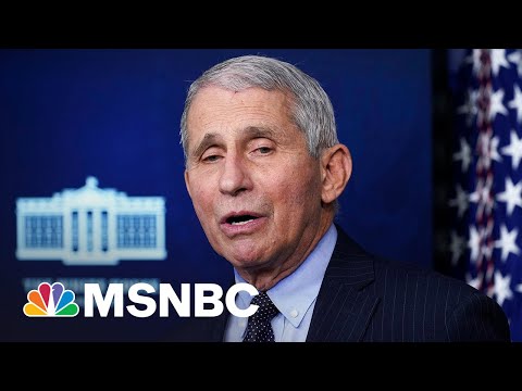 Conservatives Intensify Attacks On Dr. Fauci