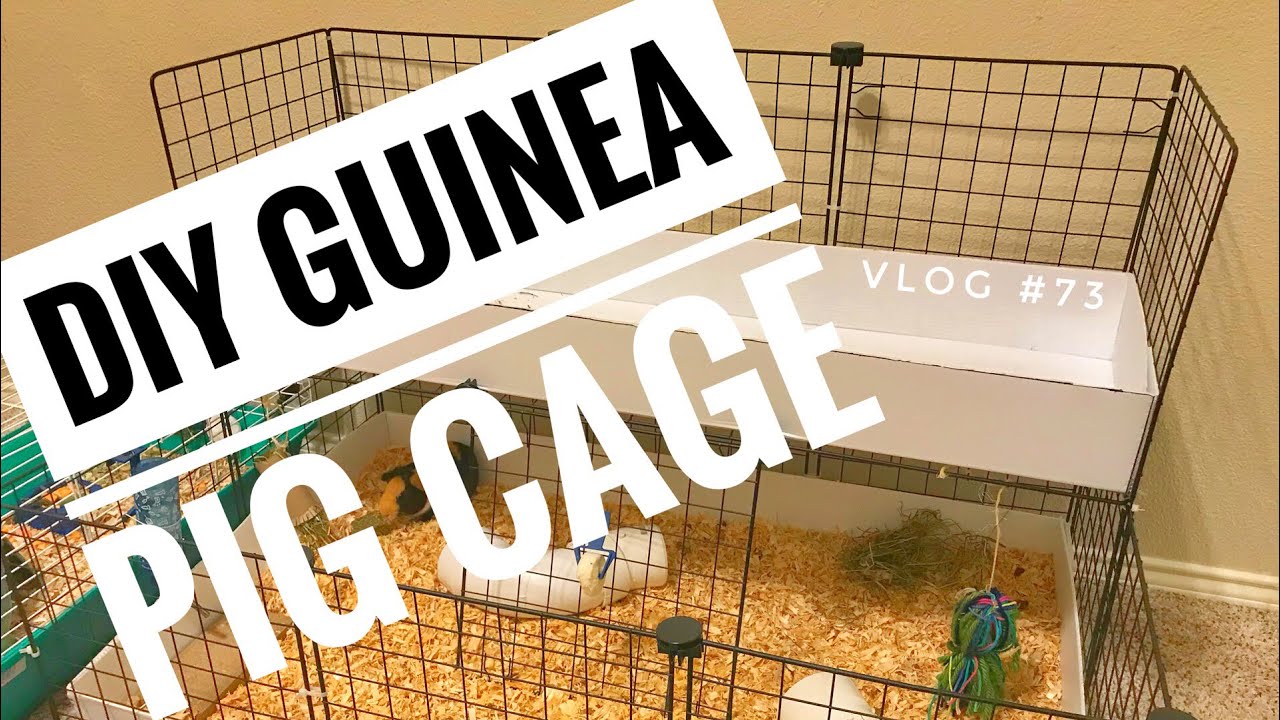 diy c&c guinea pig cages