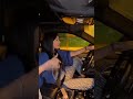نتوحشها جيبوهالي