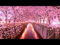 春ドライブに最適なベスト洋楽Best Club Dance Music Remixes