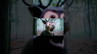 Dont anger the Deer!