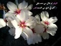 ڪان عندڪ ه م لاترفع تــقول 
